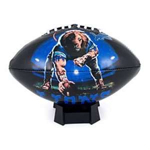  Detroit Lions NFL High Gloss Junior Size Football: Sports & Outdoors