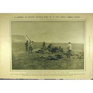   1907 Seal Preserves Usa Seal Hunters Kill Hunt Print: Home & Kitchen