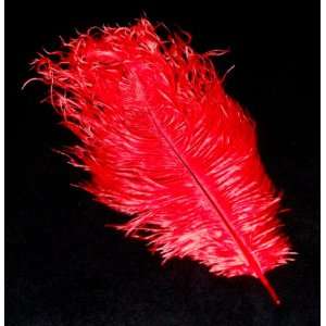  Artificial Ostrich Feather 15 Red Color 