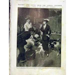   Dog Hound Battersea Home Rescue Stray Old Print 1913