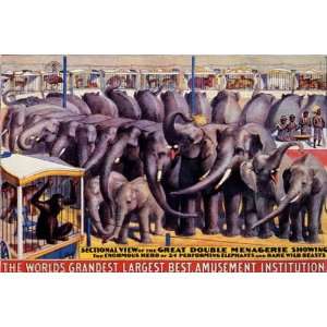  ELEPHANT MONKEY SHOW CIRCUS VINTAGE POSTER CANVAS REPRO 
