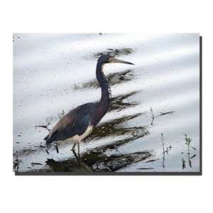  Heron by David Canvas Art Size: 35 x 47 Home & Kitchen