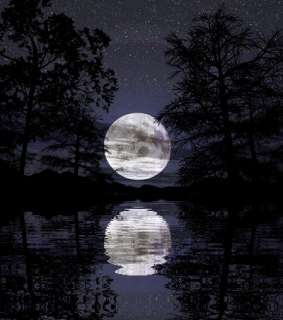 FULL MOON CONJURE ANCIENT VAMPIRE SPIRIT~THE OLD ONES  