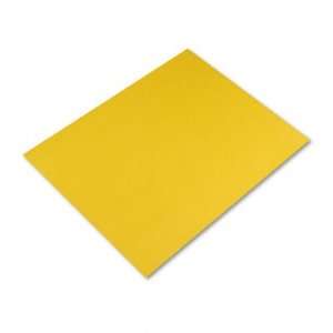    Pacon Colored Four Ply Poster Board PAC54521