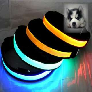 HOT! LOW PRICE Pet Dog LED light Collar Safety Flashing  