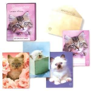  Lovable Kittens Mini Greeted Greeting Card Assortment by 