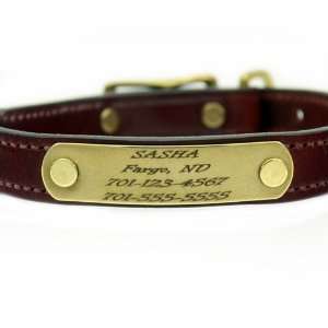  Brass Rivet On Dog Collar Name Plate   5/8 x 2 3/4 Pet 
