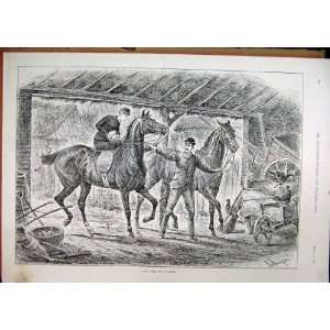   1891 Man Leading Horses Stable Chicken Cart Old Print