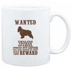   English Cocker Spaniel   $1000 Cash Reward  Dogs