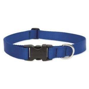  Lupine Large Dog Collar   Solid Blue 18 31 Inches: Pet 