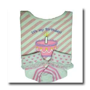  Its My Birthday Pink Bib and Sock Set: Baby