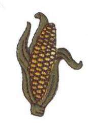 Corn on Cob Embroidered Iron On Applique Patch 151253  