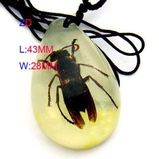 C7223 lovely insect amber pendant Necklace Teardrop NEW  