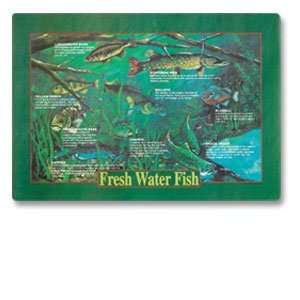  Hoffmaster 901 ECO51 Fresh Water Fish Recycled Placemat 