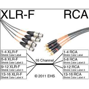  Horizon VFlex 16 Channel XLR F to RCA snake Electronics