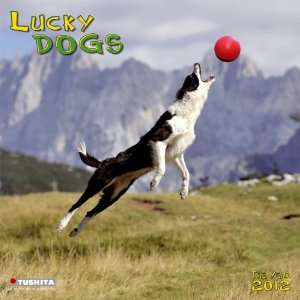  Lucky Dogs 2012 Wall Calendar