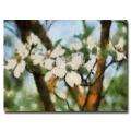 Amy Vangsgard Spring Tree Gallery wrapped Canvas Art  Overstock