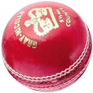  Gray Nicolls Leather County 5.5 Ounce Cricket Ball Sports 