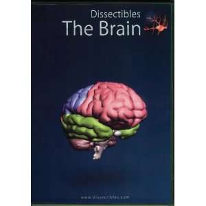  Dissectibles Brain CD ROM Software