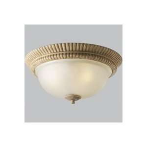   P2869 105C Medium Base By Progressive Lighting: Home Improvement
