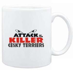   White  ATTACK OF THE KILLER Cesky Terriers  Dogs