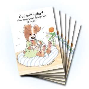   Suzys Zoo Get Well Greeting Card 6 pack 10261: Health & Personal Care