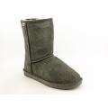 BearPaw Womens Boots   Buy Womens Shoes and Boots 