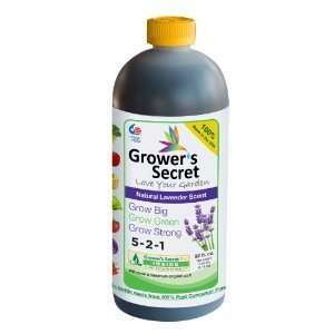   GSGB32R 32 Ounce Growers Secret Grow Big Refill Patio, Lawn & Garden