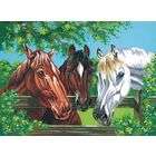 Reeves Painting On Canvas Acrylic Paint By Number Kit 11X14 Horses