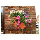 Buy Pots, Planters & Hanging Baskets from our Garden Decor range 