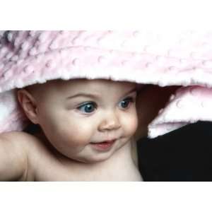   Blanket Designer Adult Blanket Pink Toile Minky & Pink Minky Dot: Baby
