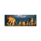 Educa Lion Family Panorama Series Puzzle 1000 Pcs