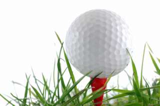 Flatball Golf Swing Training Aid   Hit it Pure with Flatball 