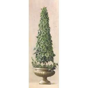  Cone Ivy Green White Topiary   Welby 5x13