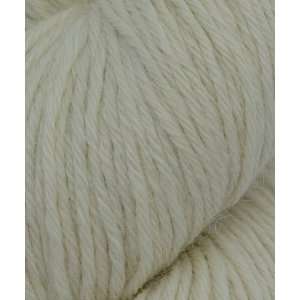    Dye For Me Yarn   #599 Baby Llama DK Arts, Crafts & Sewing