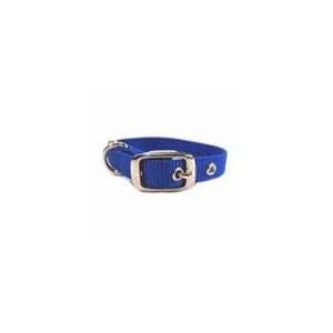  Single Thick Nylon Dog Collar Blue 12 In: Pet Supplies