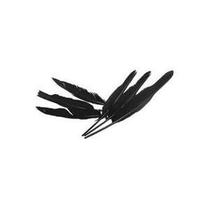  Midwest Design Indian Feathers 6/pkg black 6 Pack 