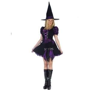   Occasions FW120034ML Witch Purple Punk Adlt Medium Large Toys & Games
