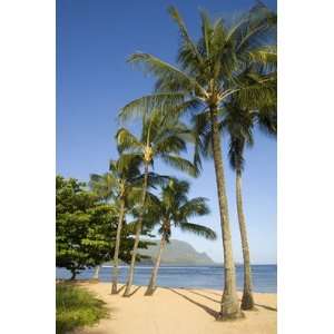  Lovers Beach Kauai HUGE Fine Art Photograph Hawaii By 