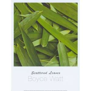 Scattered Leaves by Boyce Watt 12x16 