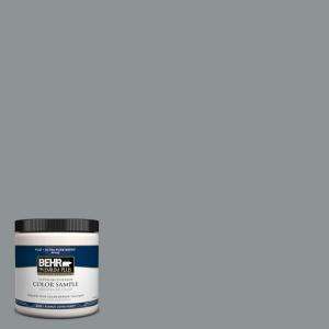 BEHR Premium Plus 8 oz. Gray AreaInterior/Exterior Paint Tester # 770F 