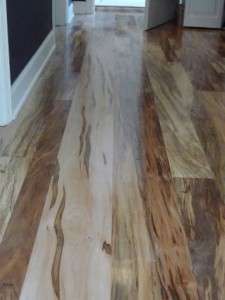 Wormy Maple Hardwood Floor Ambrosia Maple Wood Flooring  