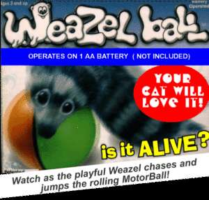 WEAZEL BALL OUR MOST POPULAR TOY FOR PEOPLE OR CATS r  