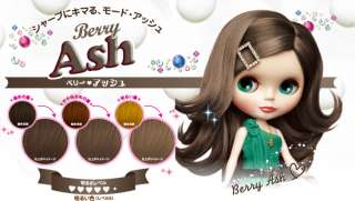 FRESH LIGHT Japan Blythe Bubble Hair Color Dying Kit  