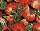 Quilt Quilting Fabric Thanksgiving Harvest Large Gourds