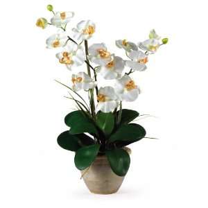   Phalaenopsis Silk Orchid Arrangement Cream Colors   Silk Arrangement