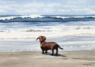 DACHSHUND BEACH Painting Dog Art ACEO Print Signed DJR  
