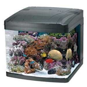  Bio Cube Aquarium