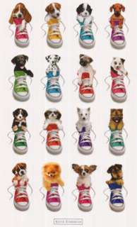 Puppies in Shoes POSTER Keith Kimberlin Dogs Pets 22x34  