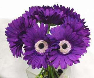 Dark Purple Lapis ~ Gerbera Gerber Daisy Bridal Bouquet Silk Wedding 
